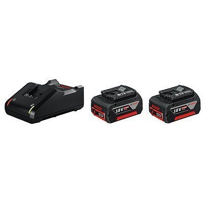 Bosch GAL 18V-40 + GBA 18 В 4.0 Ah (1600A019S0) Зарядное устройство + 2 аккумулятора 32607 фото
